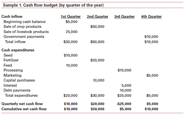 sample cash flow report